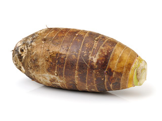 Taro on a white background