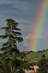 rainbow in nature