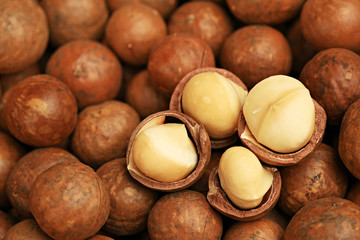 Macadamia nuts slide whole and chopped background