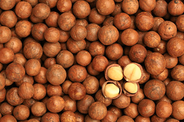The seeds of macadamia nuts are peeled until the flesh inside is visible - obrazy, fototapety, plakaty