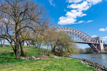Fototapeta na wymiar Trees and Plants during Spring along the East River on Randalls and Wards Islands of New York City with the Hell Gate Bridge in the background
