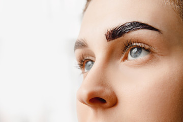 Eyebrow tint, master correction of brow hair women - obrazy, fototapety, plakaty