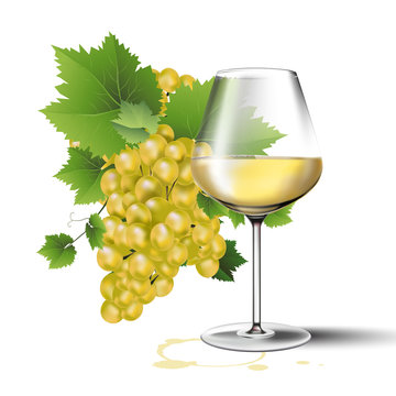 3d realistic vector icon white wine glass with grapes for labeling or packaging.