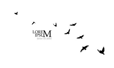 A flock of flying silhouette birds. Vector illustration