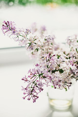 beautiful lilac flowers on the window in a vase, background - 350935509