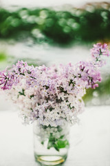 beautiful lilac flowers on the window in a vase, background - 350935595