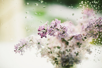 beautiful lilac flowers on the window in a vase, background - 350935712