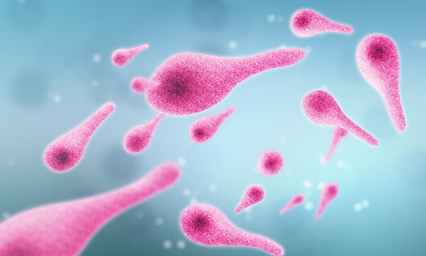 close up in microscopic of Clostridium tetani bacteria the cause of tetanus Scientific and medical concepts 3D illustration