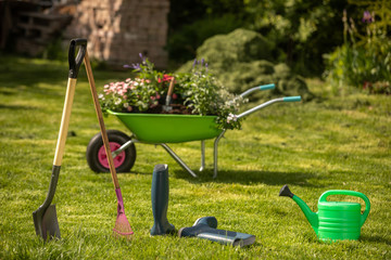 Wheelbarrow with gardening tools in the garden. Rakes, shovel, pitchfork, watering can. Beautiful...