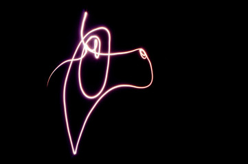drawing of a neon dog in the dark