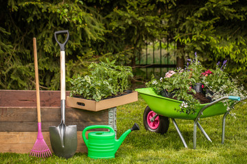 Small organic vegetable garden in urban area. Vegetable garden boxes. Home grown vegetables. A...