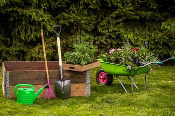 Small organic vegetable garden in urban area. Vegetable garden boxes. Home grown vegetables. A...