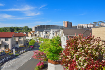 Japan's residential area, suburbs of Tokyo   青空と住宅地