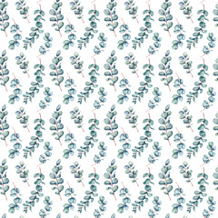 Watercolor seamless pattern with eucalyptus twigs on the white background.Hand painted watercolor clipart.