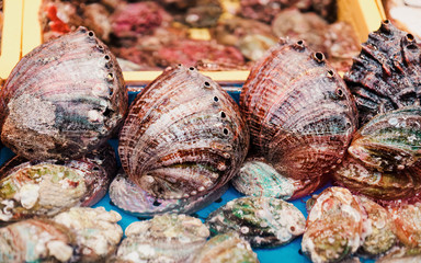Sale of Fresh shellfish in fish market in Busan reflex
