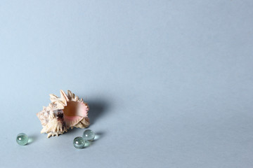 seashell and glass balls pearls background