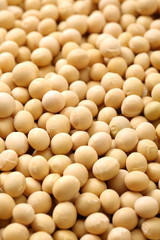 soy beans on white background.