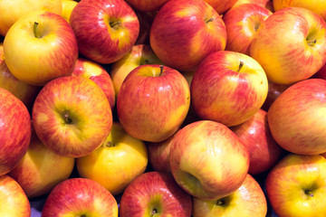 Red ripe and yellow apple background