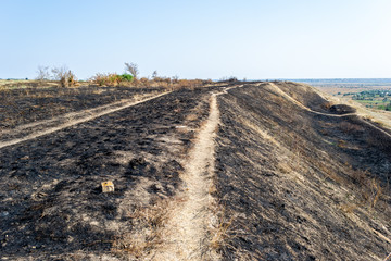 Fototapeta na wymiar Burned out coastal grassland