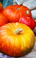 Seasonal ripe orange pumpkins background reflex
