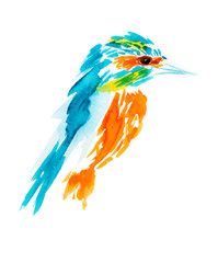 watercolor illustration isolated birds. birds flying, animals, bird silhouette, bird , kingfisher