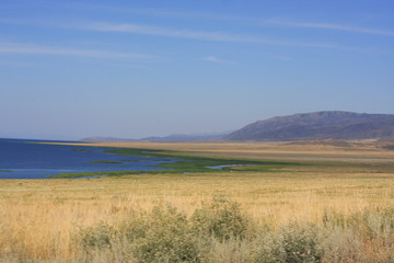 Lake view background, yellow dry grass