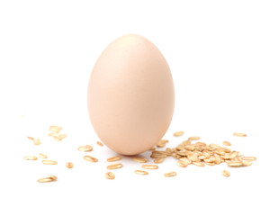 eggs on a white background