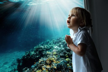 the child looks out the window on fish and the coral bottom in the aquarium