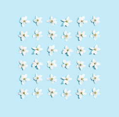 Apple tree floral pattern. Bright summer background. Spring white fruit flowers. Repeat spring texture. Creative trend composition. Many springtime elements. Blank may layout. Blue
