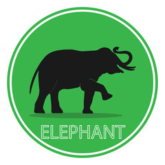 elephant  Asia walking, graphics design vector outline Illustration isolated on green circle background