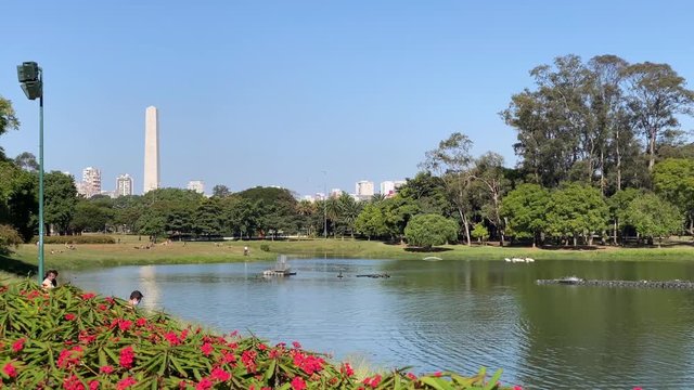 Sao Paulo, Brazil - May 10, 2020: people sunbathing in Ibirapuera park, largest park in the city, during the quarantine due to the corona virus outbrerak.