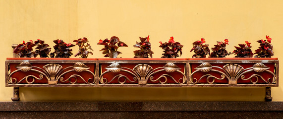 Flowers in pots on the wall with decorative metal grates