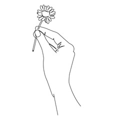 hand with a camomile