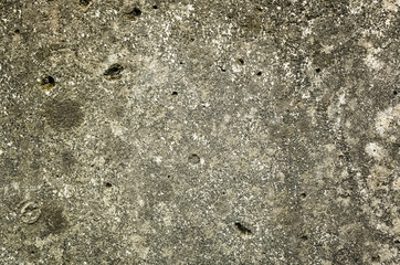 mildewed wall background