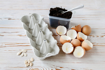 How to grow any plant in an egg shell, tutorial.