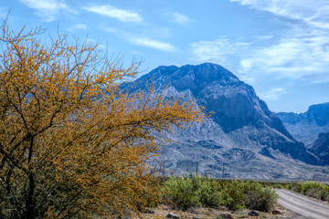 Mountains of Big Bend National Park