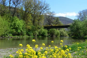 Fototapeta na wymiar the river bank and the bridge in the spring