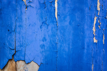 weathered wood planks wall in blue color