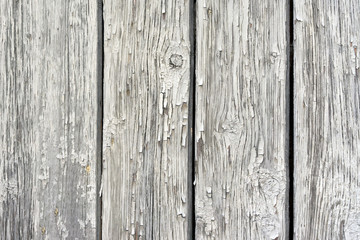 texture of light wooden planks . natural wooden background