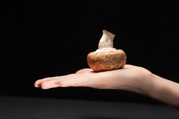 One royal champignon lies on a black background