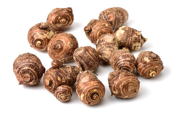 Taro on white background