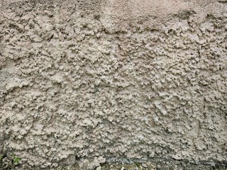 Wall of gray concrete with high pimples.