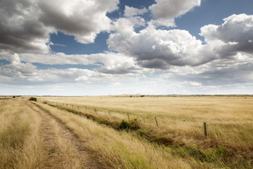 Fototapeta na wymiar beautiful farmland in essex england