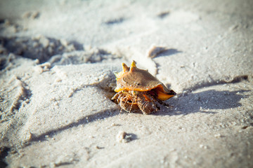 beautiful sand