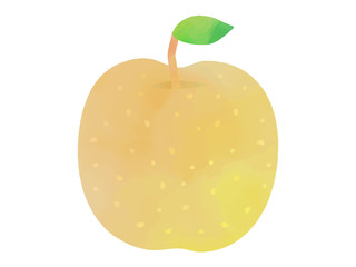 梨の水彩イラスト