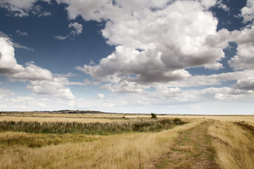 beautiful farmland in essex england