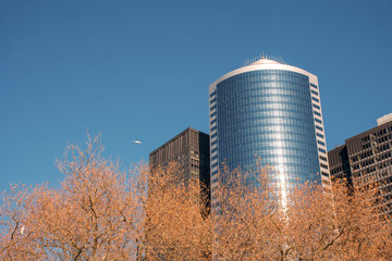 modern office building in the city