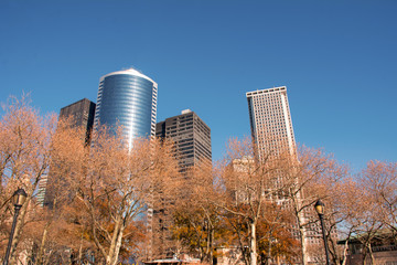 Obraz premium modern buildings in the city