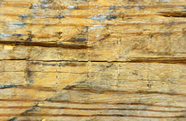 Fototapeta premium Old brown wood texture for the background