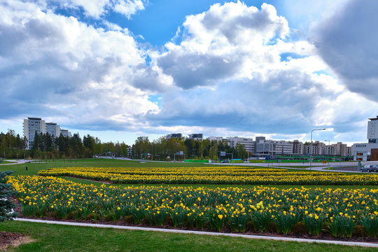 Urban & nature Finland